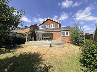 Picture 23